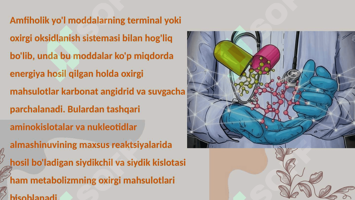 Katabolizm va anabolizm. Uning normal va patalogik holatlardagi oʻzgarishlari 7