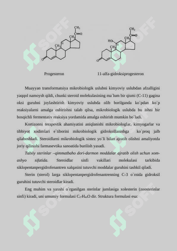 Organik moddalarni mikrobiologik transformatsiyalash va ularni qaytarilishini biotexnologik uslublari 4