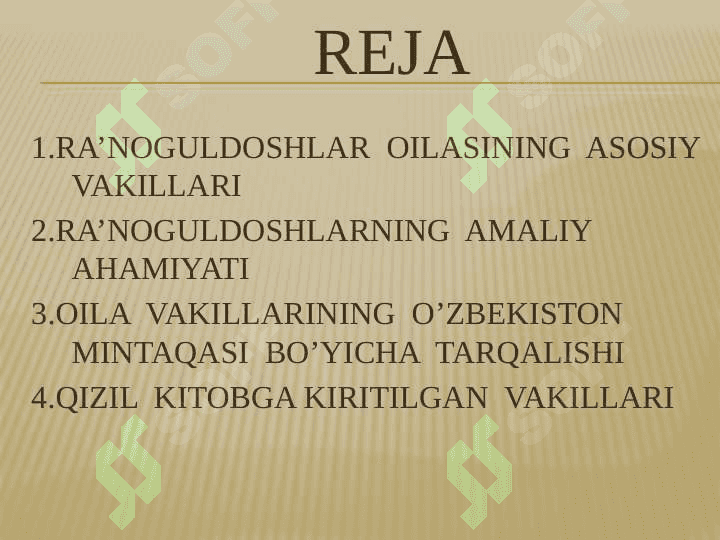 Ra’noguldoshlar oilasining asosiy turkum va turlari 2