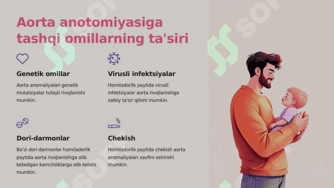 Aorta taraqqiyotiga tashqi omillarning ta'siri va variant anatomiyasi 7