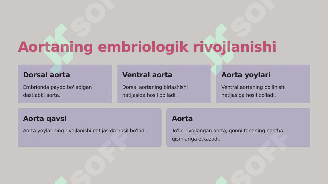 Aorta taraqqiyotiga tashqi omillarning ta'siri va variant anatomiyasi 8
