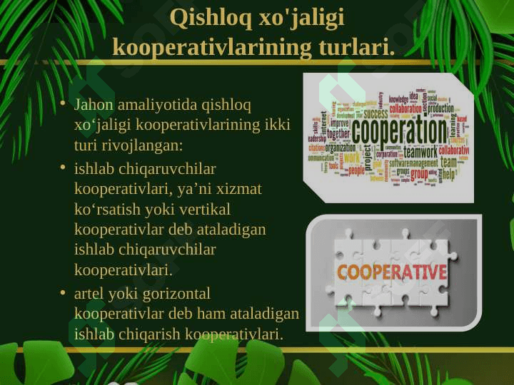 Qishloq xo'jaligida kooperatsiyaviy munosabatlarni shakllantirishning rivojlangan davlatlar tajribasi 5
