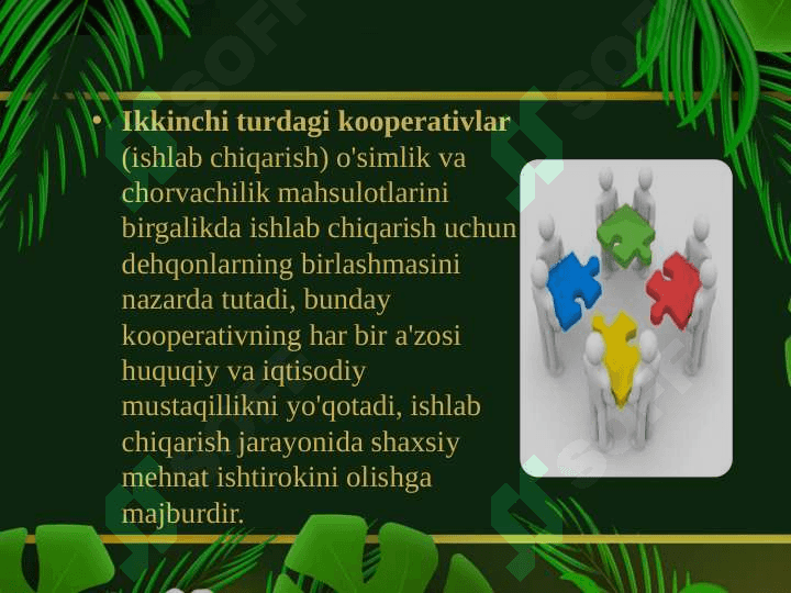Qishloq xo'jaligida kooperatsiyaviy munosabatlarni shakllantirishning rivojlangan davlatlar tajribasi 7
