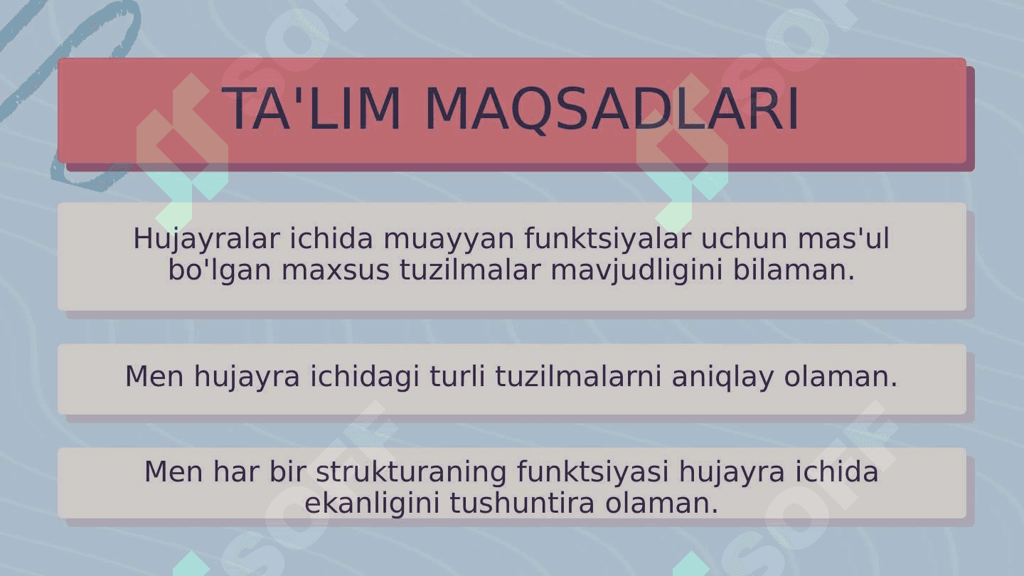 O'simlik va hayvon hujayralari 2