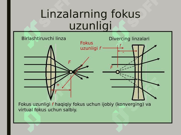 Linzalar 5