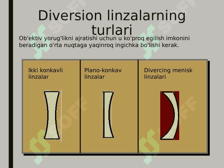 Linzalar 8