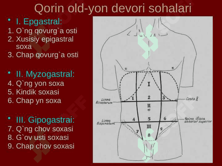 Qorin old-yon devorining klinik anatomiyasi. Churralar va ularda operatsiyalar. 3