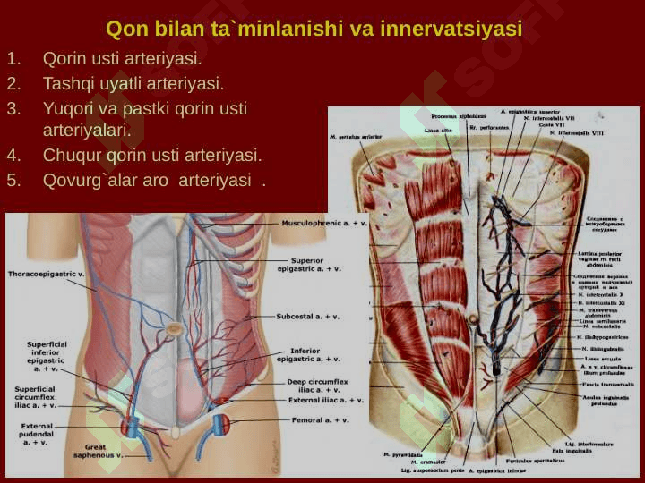 Qorin old-yon devorining klinik anatomiyasi. Churralar va ularda operatsiyalar. 6
