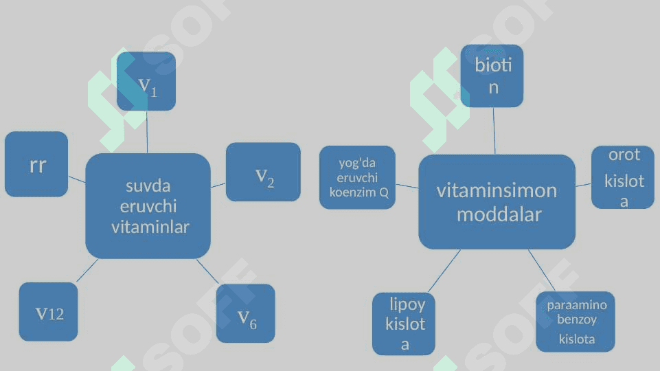 SUVDA  ERUVCHI VITAMINLAR 5