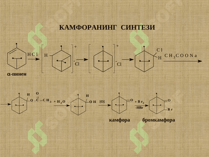 ЛИПИДЛАР. СOВУНЛАНМАЙДИГАН   ЛИПИДЛАР. 7