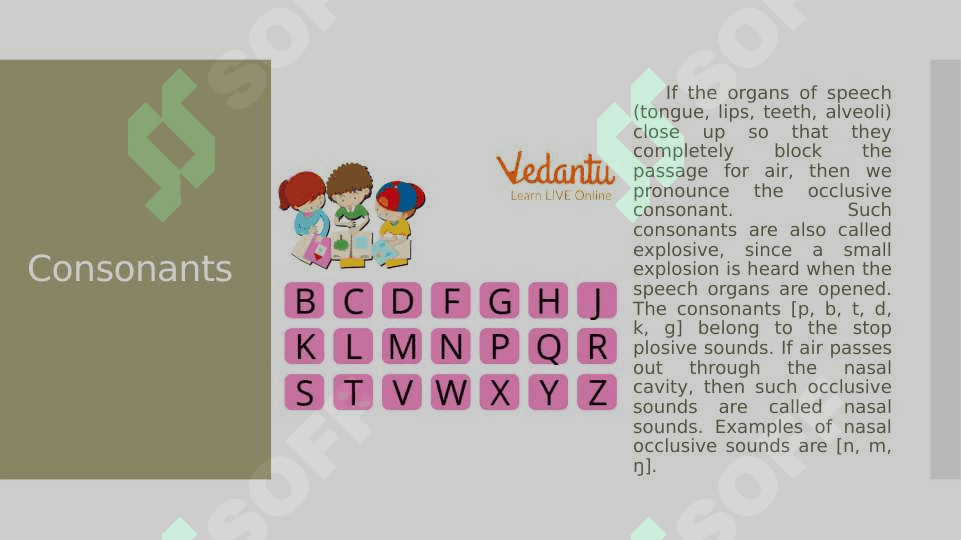 Theoretical Aspects of the Language Being Studied 4