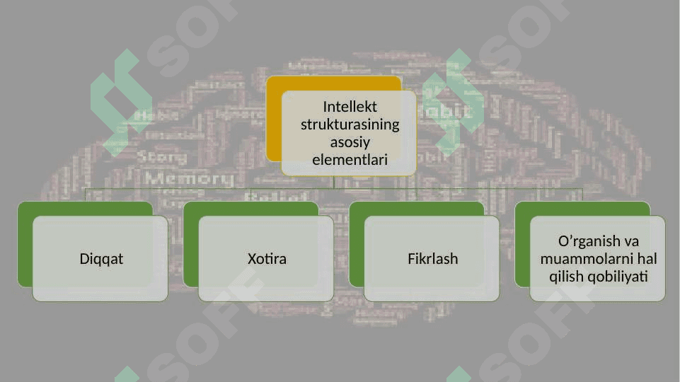 Intellekt psixologiyasi  strukturasi 20.pptx 3