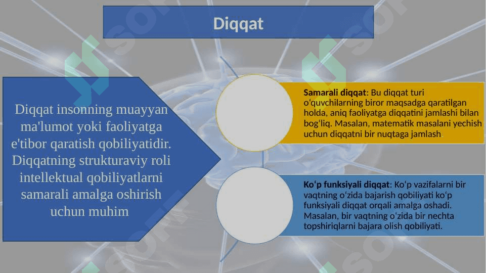 Intellekt psixologiyasi  strukturasi 20.pptx 5