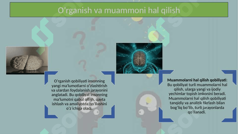 Intellekt psixologiyasi  strukturasi 20.pptx 8