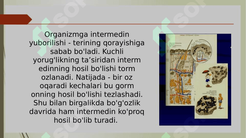 Intermidin gormonining yosh hayvon organizmidagi ahamiyati 3