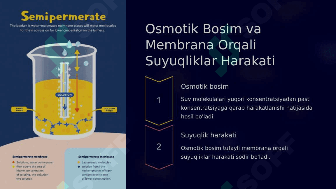 Biologik membranalardagi fizik jarayonlar 5