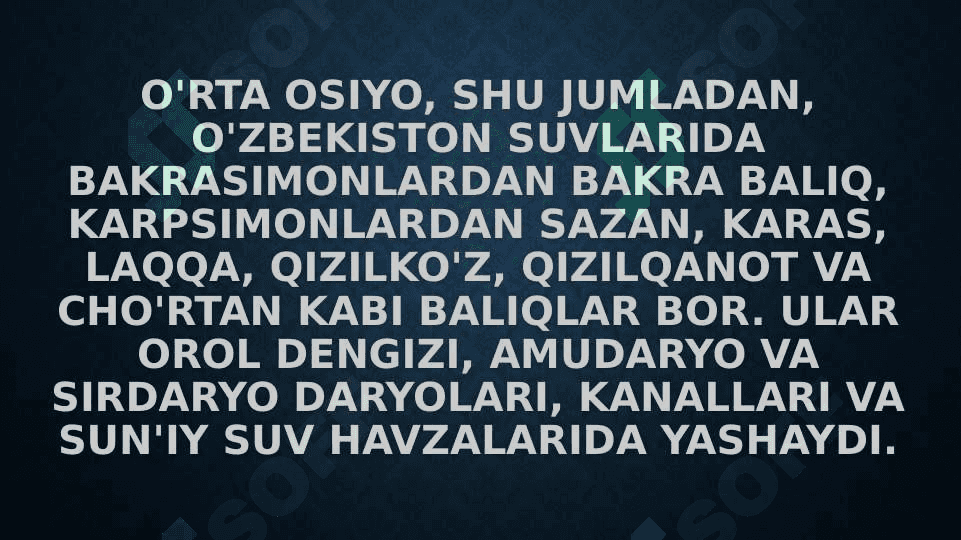 O’zbekiston suv havzalarida tarqalgan olabaliq turlari. 7