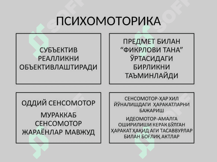 ИНСОН ПСИХОМОТОРИКАСИ ХАРАКТЕРИСТИКАСИНИ  АНИҚЛАШ 7