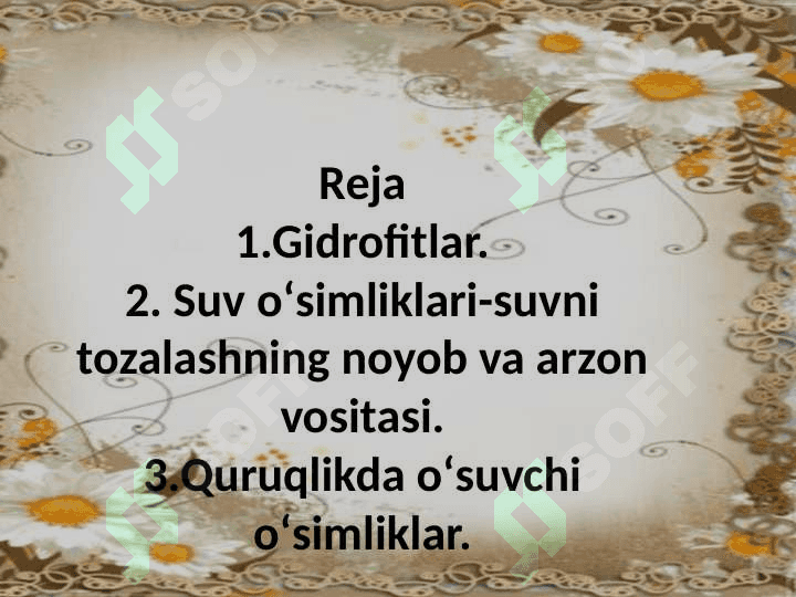 Mavzu:Suv muhitiga organizmlarning moslashishi.Tuproq muhitiga organizmlarning moslashishi 4