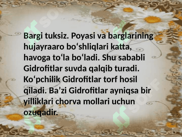 Mavzu:Suv muhitiga organizmlarning moslashishi.Tuproq muhitiga organizmlarning moslashishi 8
