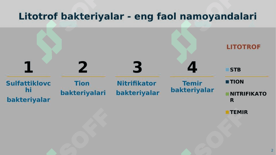 LITOTROF BAKTERIYALAR BIOZARARLANISH 2