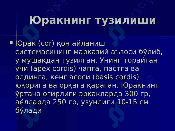 Yurak qon aylanish doiralari 3