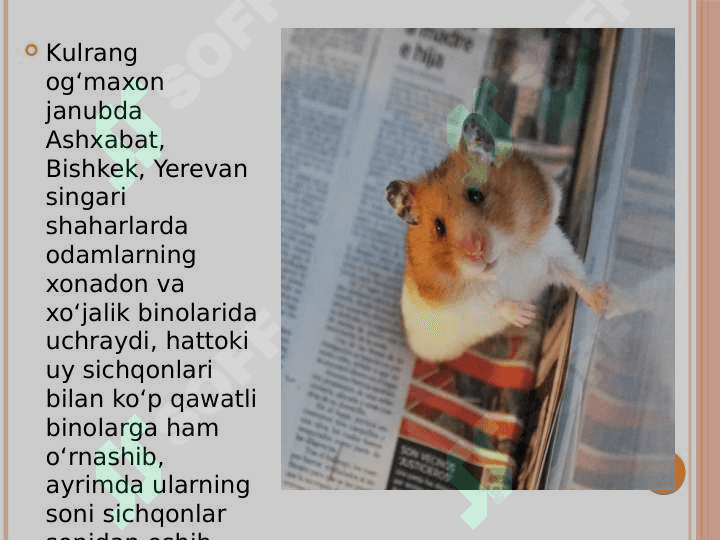 Sutemizuvchilar biozararlanish manbalari 5