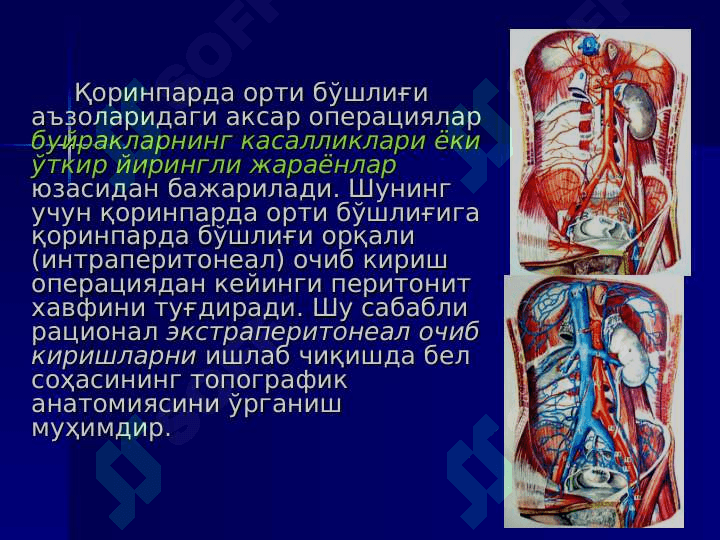 БЕЛ СОҲАСИ ВА ҚОРИНПАРДА ОРТИ БЎШЛИҒИНИНГ ЖАРРОҲЛИК АНАТОМИЯСИ. БУЙРАК ВА СИЙДИК ЙЎЛЛАРИДА ОПЕРАЦИЯЛАР . Bel sohasi va qorin parda orti bo`shlig`ining jarrohlik anatomiyasi buyrak va siydik yo`llarida operatsiyalar 2