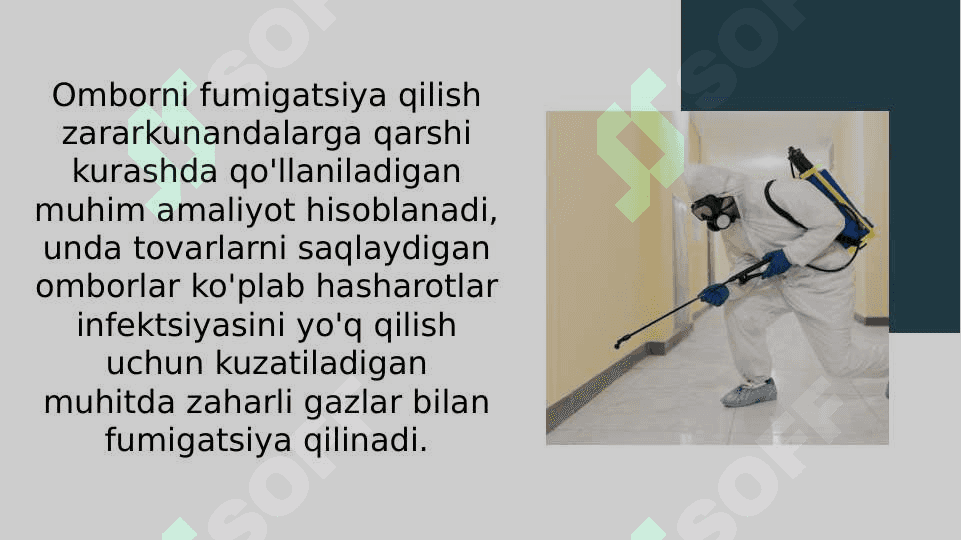 Omborxonada qo'llaniladigan fumigantlar va fumigatsiya qilish 2