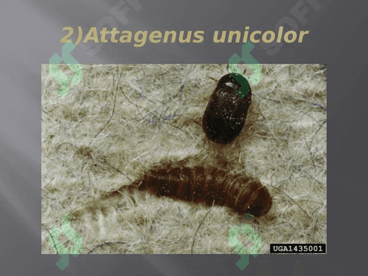 HASHAROTLAR BIOZARARLANISH MANBALARI 7