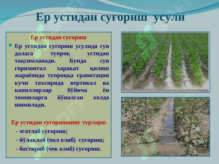 Ер устидан суғориш  усули. Суғориш жихозлари 3