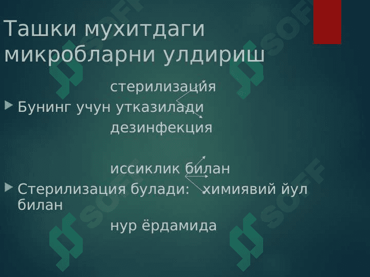 Микроорганизмларга ташқи мухит факторларининг таъсири Химиотерапевтик препаратлар ва антибиотиклар. Микроорганизмлар экологияси . Сув , тупроқ , хаво микрофлораси . Одамнинг нормал микрофлораси 5