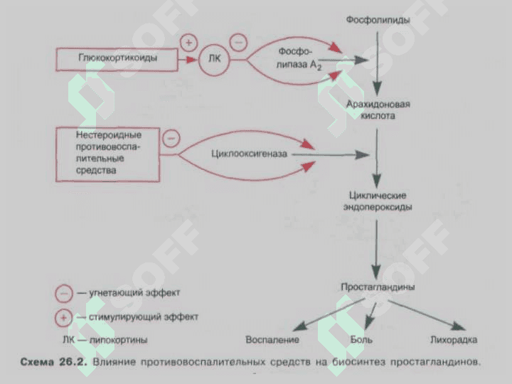 Яллиғланишга қарши дори воситалар . Дорилар . Yalliglanishga qarshi dori vositalar . Dorilar 5