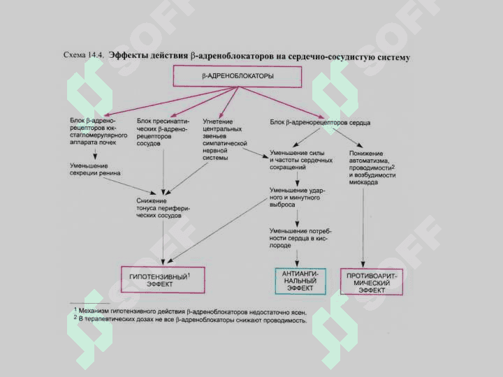 Гипотензив воситалар . Gipotenziv dori vositalar . Gipotenziv - Antigipertenziv dorilar , moddalar 4