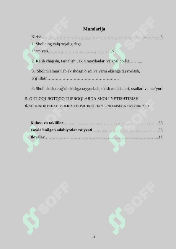 Sholi yetishtirishni tashkil etish va boshqarish 2