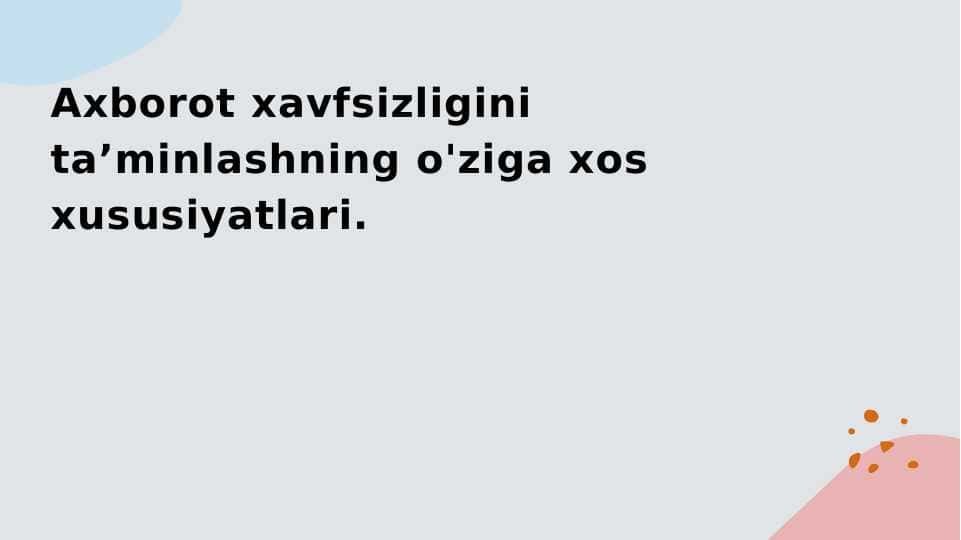 Axborot xavfsizligini taʼminlashning o'ziga xos xususiyatlari.
