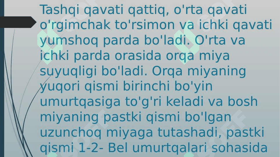 Orqa miyaning reflektor va o’tkazuvchi yo’l faoliyati, tekshirish usullari 4