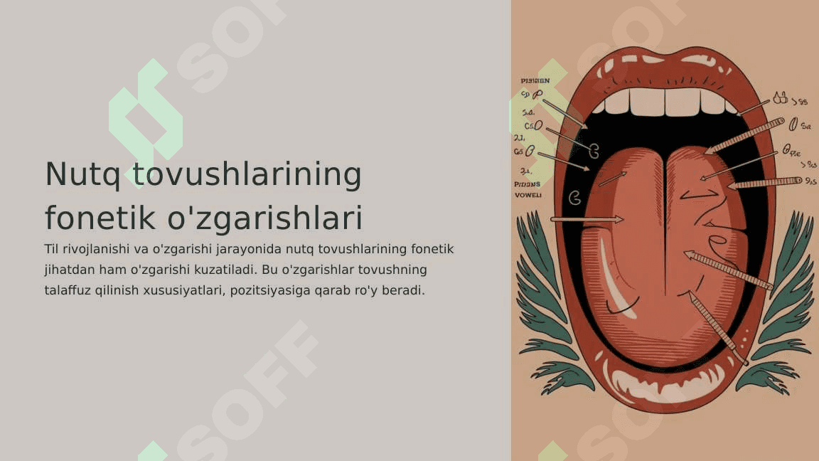 Nutq tovushlarining fonetik   o'zgarishlari 2