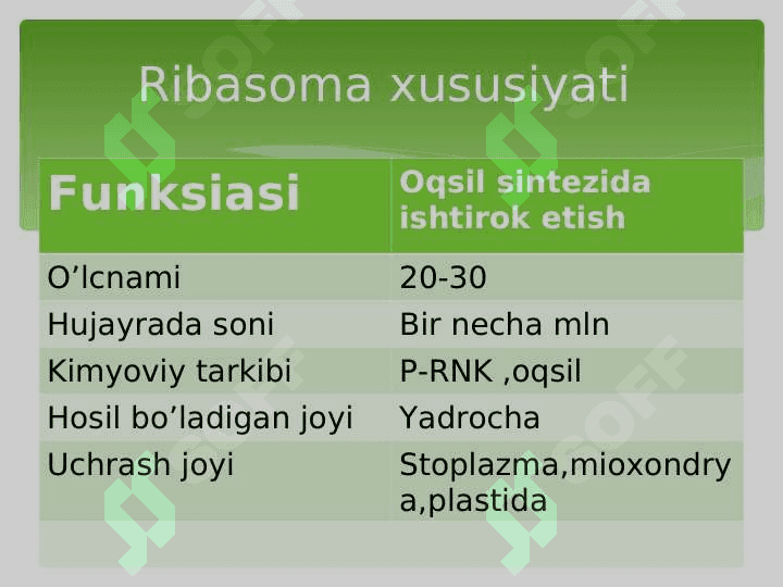 Prоkаriоt vа eurаkаriоtlаrning ribоsоmаsining tuzilishi vа funksiyalаri 6