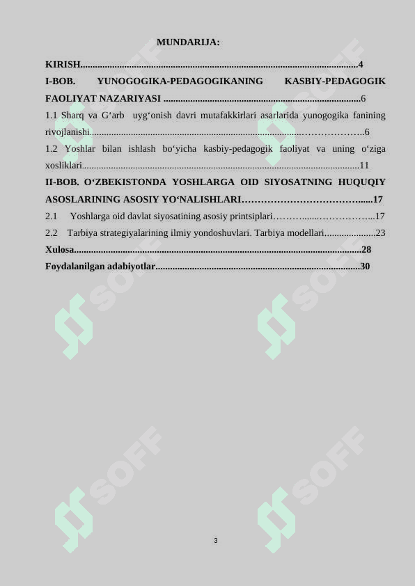 Yoshlar tashkilotchisining faoliyatini tashkil etish tamoyillari. 2