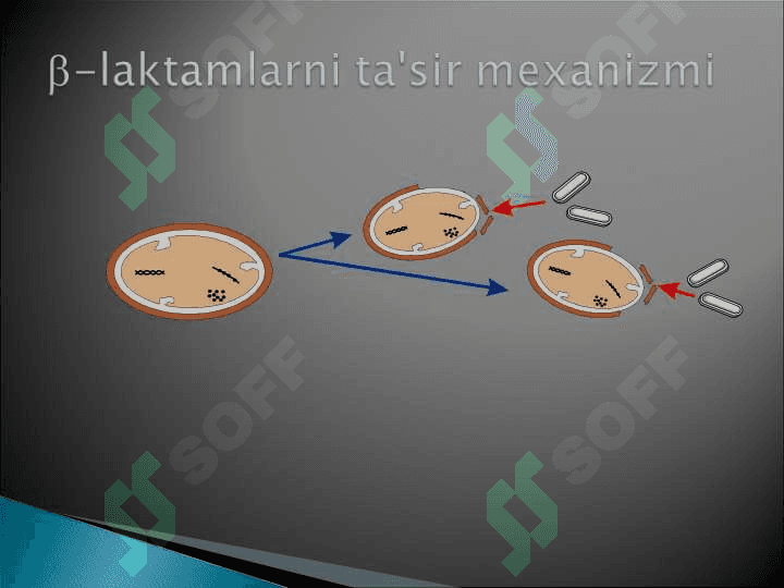 ANTIBAKTERIAL DORI VOSITALARI 6