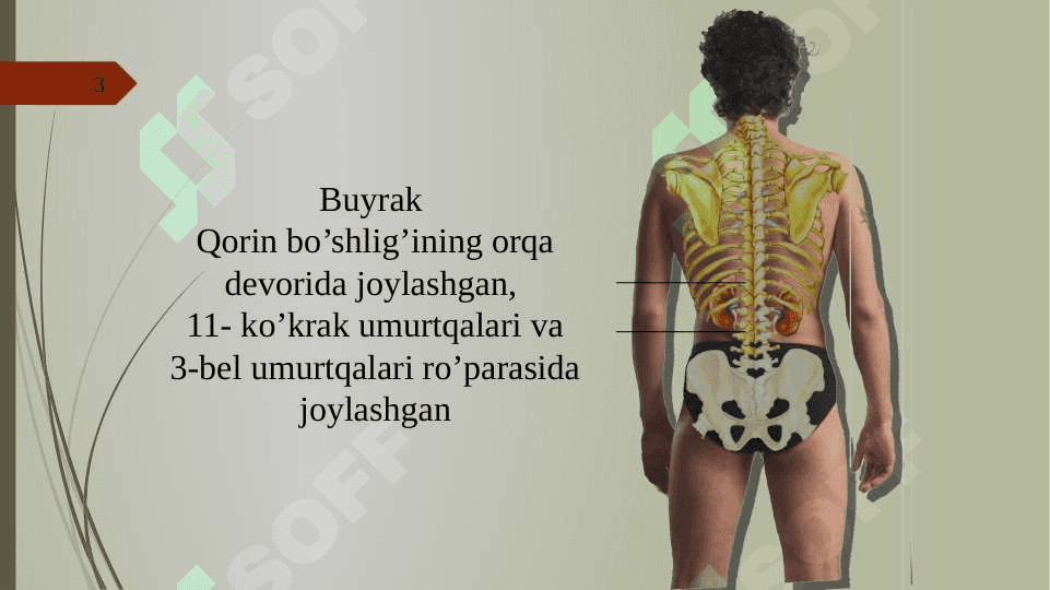 SIYDIK AYIRISH SISTEMASI 3