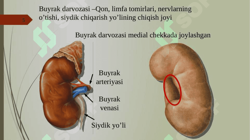 SIYDIK AYIRISH SISTEMASI 5
