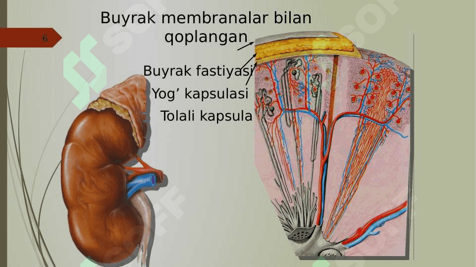SIYDIK AYIRISH SISTEMASI 6