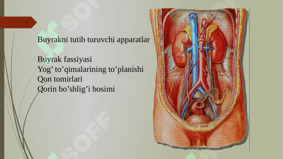 SIYDIK AYIRISH SISTEMASI 7