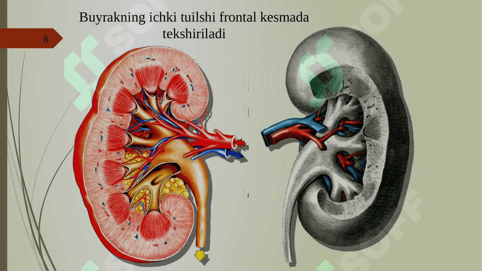 SIYDIK AYIRISH SISTEMASI 8