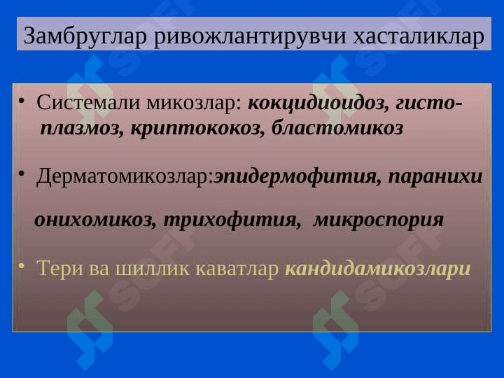 Zamburuglarga qarshi vositalar . Zamburug`larga qarshi qo`llaniladigan dori moddalar . Замбругларга карши воситалар 3
