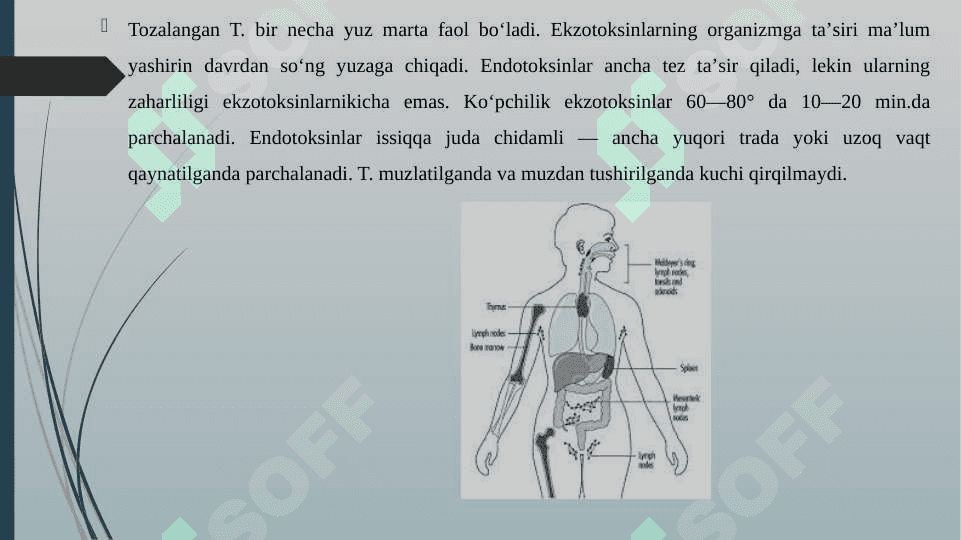 TOKSIN MODDALARNI TURLARI 4
