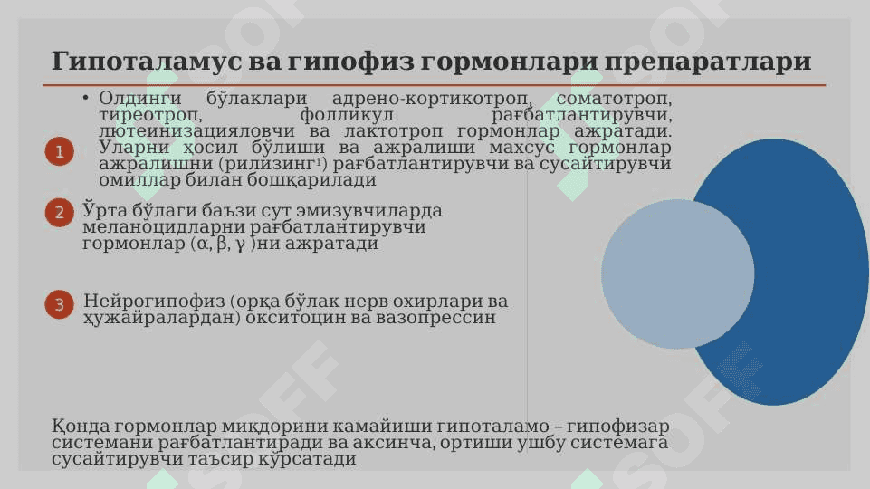 Moddalar almashinuviga ta`sir etuvchi moddalar .  Моддалар алмашинувига тасир этувчи моддалар 7
