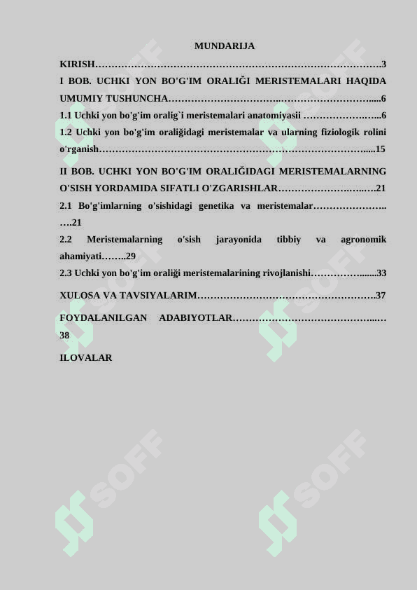 Uchki yon bo`g`im oralig`i meristemalari 2